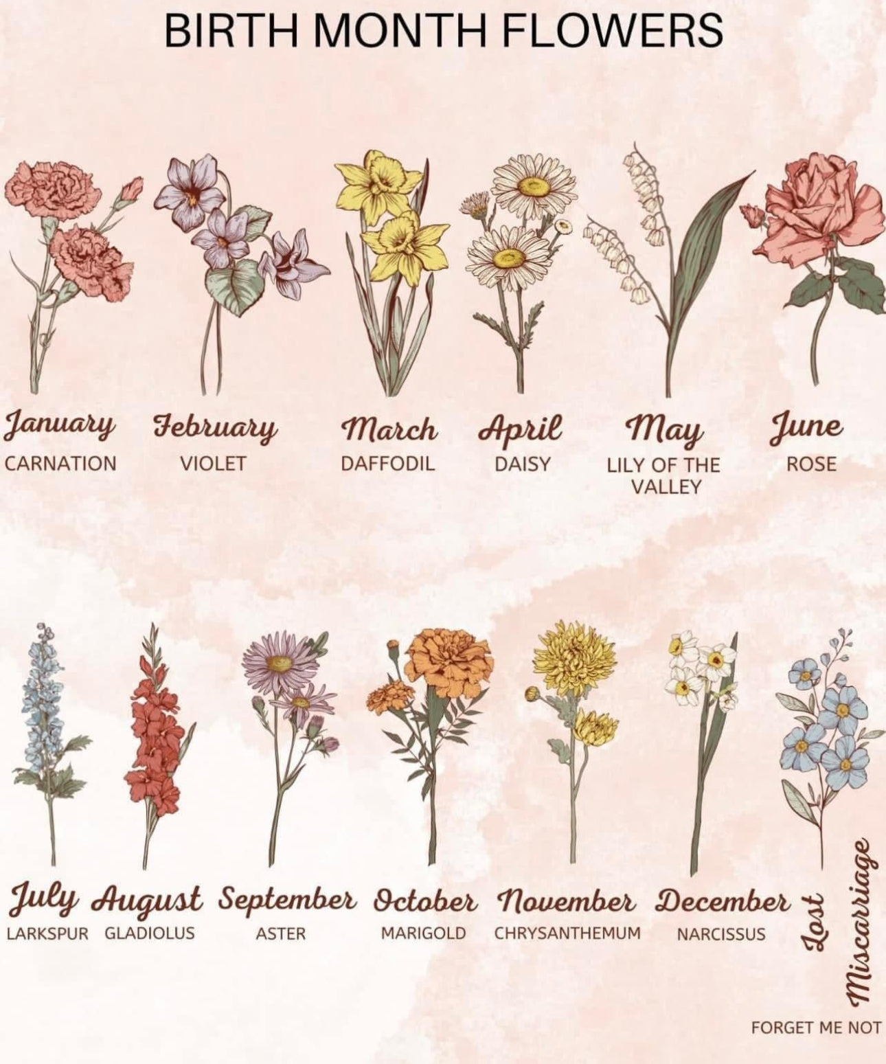 Birth Month Flowers