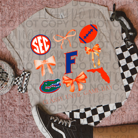 Florida bow collage